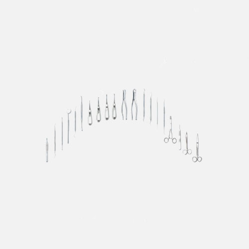 Veterinary Dental Pack