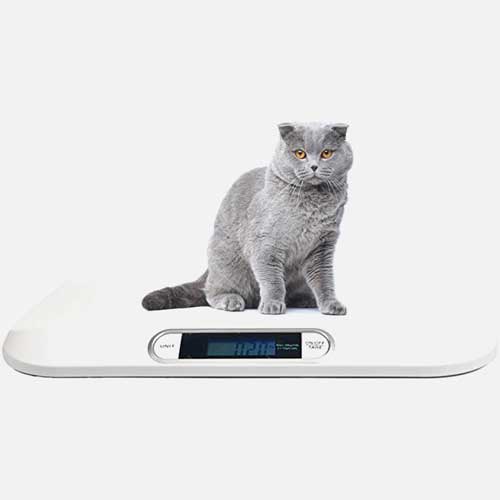 DIGITAL PORTABLE VETERINARY CAT SCALE